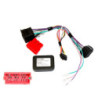 Ratinterface Renault 2009