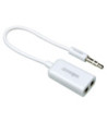 Y-adaptor 3