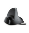  TWIN FM-AM/GPS antenne